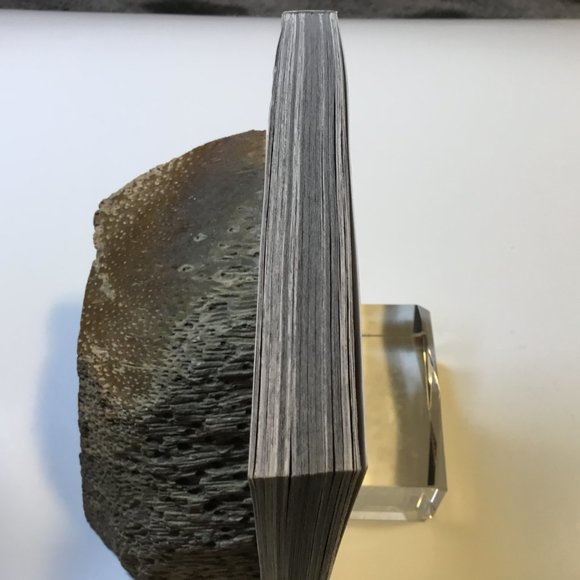 Attack on Titan #30 - Picture 6 of 7